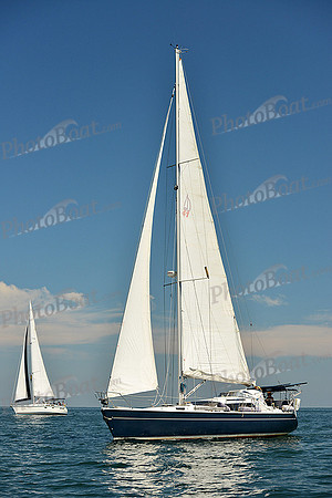 2015 Cape Charles Cup C 410