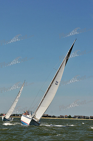 2014 Southern Bay Race Week D 220
