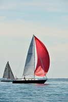 2015 Cape Charles Cup A 595