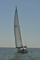 2017 Southern Bay Race Week B_1076