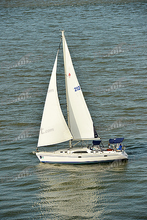 2015 Charleston Race Week C 401