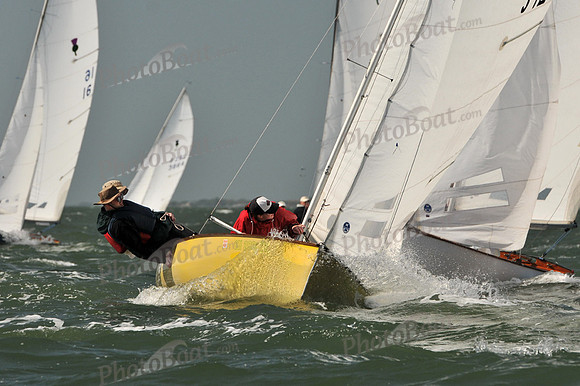 2012 Thistle Midwinters B 603
