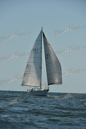 2015 Vineyard Race C 342