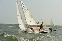2015 Vineyard Race A 323