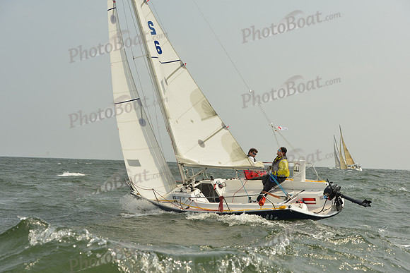 2015 Vineyard Race A 323