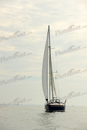 2014 Cape Charles Cup B 502