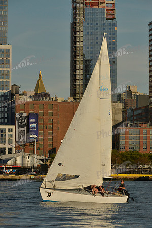 2016 NY Architects Regatta_1071