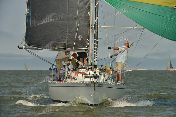 2016 Southern Bay Race Week B_0658