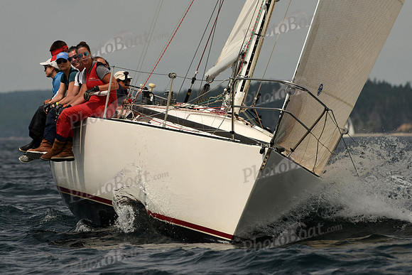 2016 Chester Race Week C 375