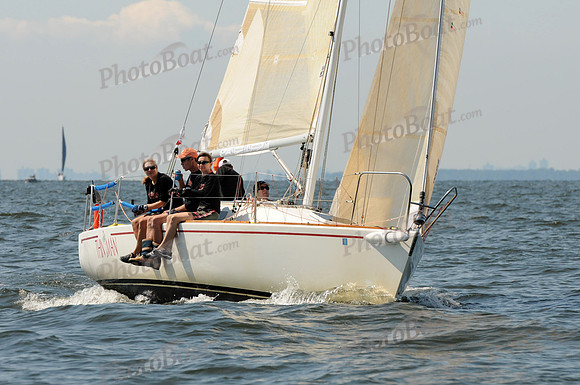 2011 Vineyard Race A 238