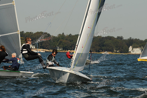 2011 HPDO A 2173