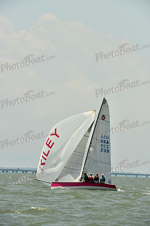 2016 Southern Bay Race Week A_1226