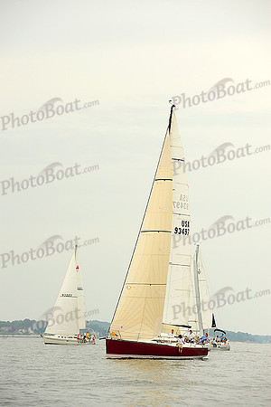 2014 Gov Cup A 242