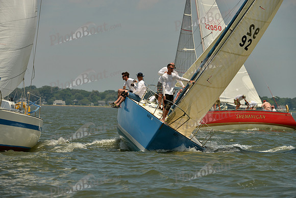 2016 Southern Bay Race Week F_1319