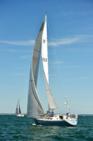 Delphinus