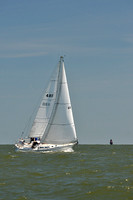 2014 Southern Bay Race Week D 645