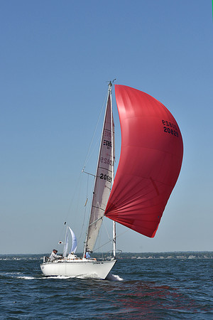2019 Vineyard Race A_0297