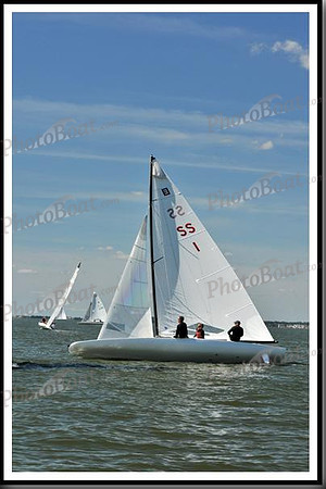 proof_2010_EScows_D 808
