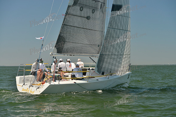 2017 Southern Bay Race Week B_1302