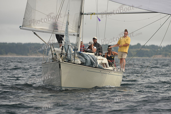 2016 Chester Race Week C_1668