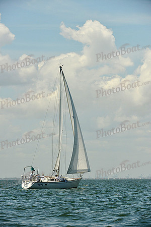 2015 Southern Bay Race Week C 922