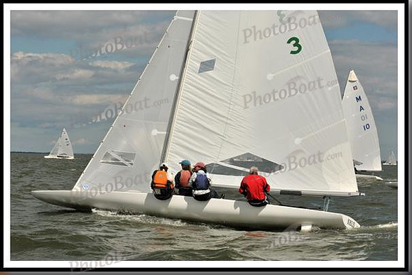 proof_2010_EScows_B 873