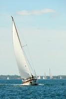 2014 NYYC Annual Regatta C 319