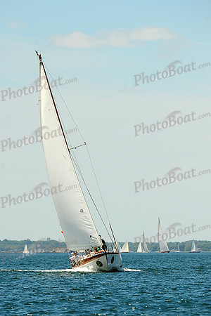 2014 NYYC Annual Regatta C 319
