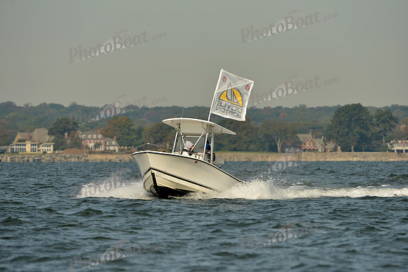 2015 HPDO C 118