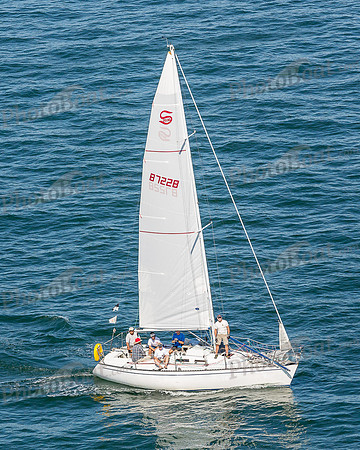 DBP_1241