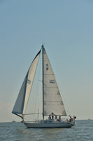 2017 Southern Bay Race Week B_0229