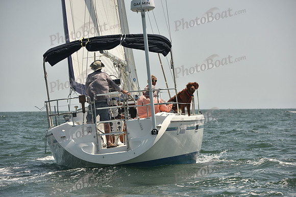2018 Vineyard Cup A_0832