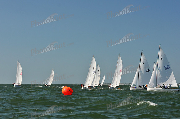 2012 Thistle Midwinters C 065