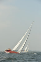 2015 Vineyard Race A 247