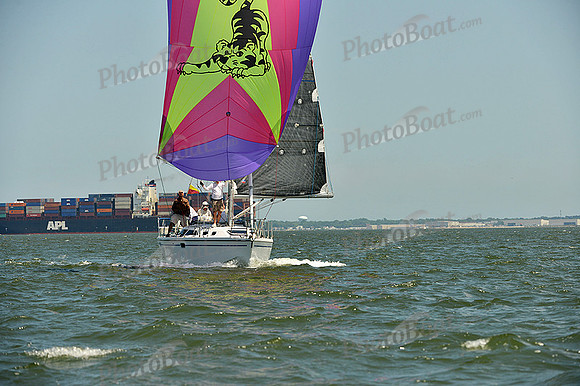 2015 Southern Bay Race Week A 1172
