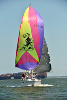 2015 Southern Bay Race Week A 1173