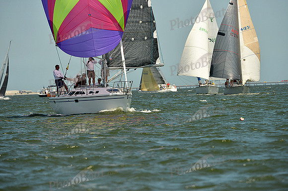 2015 Southern Bay Race Week A 1437