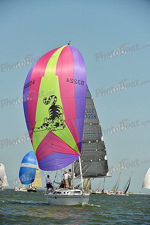 2015 Southern Bay Race Week A 1441