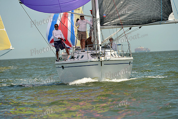 2015 Southern Bay Race Week A 1445