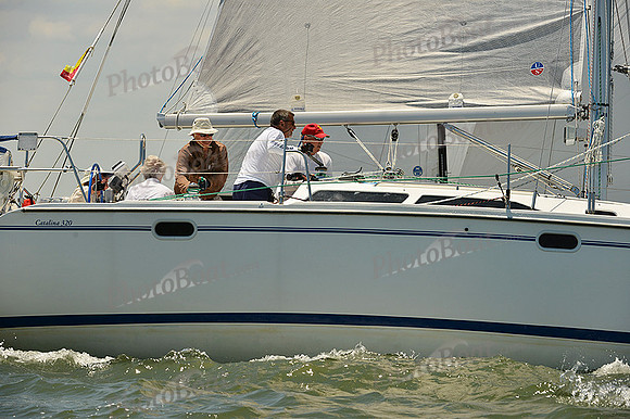 2015 Southern Bay Race Week A 446