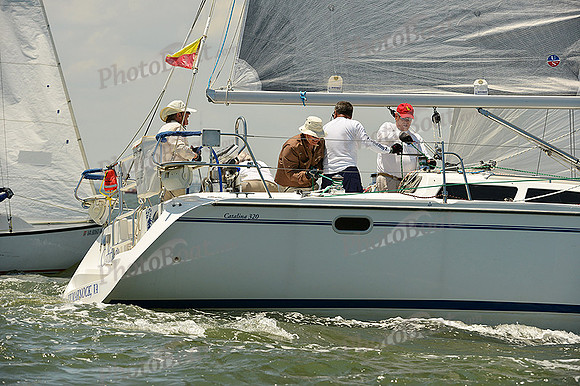 2015 Southern Bay Race Week A 447