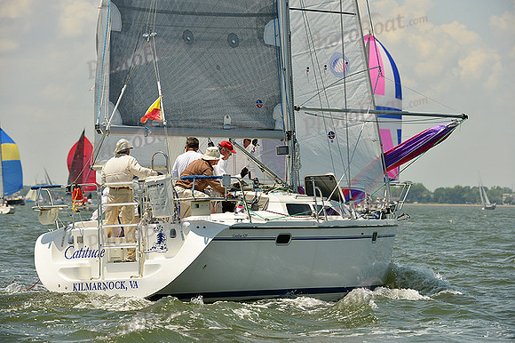 2015 Southern Bay Race Week A 449