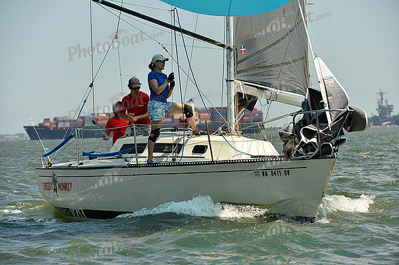 2015 Southern Bay Race Week A 1137