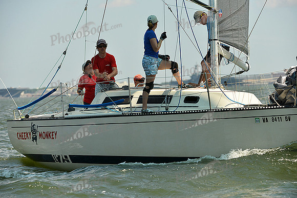 2015 Southern Bay Race Week A 1138
