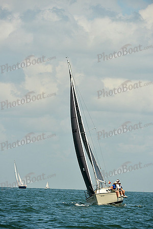 2015 Southern Bay Race Week C 564