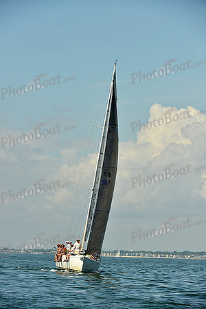 2015 Southern Bay Race Week C 230