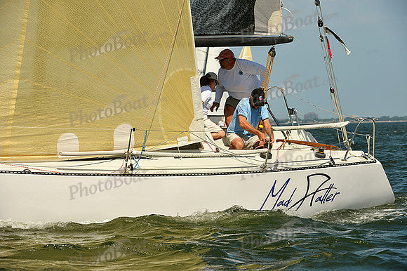 2015 Southern Bay Race Week F 232