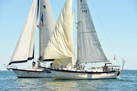 2015 Cape Charles Cup A 1061