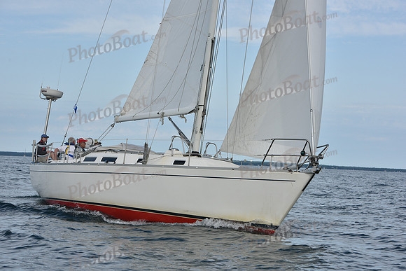 2019 Around Marthas Vineyard A_0205