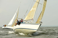 2015 Vineyard Race A 201